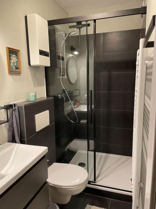 #1 Studioapartment Mit Loreleyblick Direkt An Der Schoensten Etappe Des Rheinsteigs Patersberg Buitenkant foto